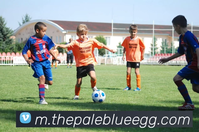 平台展示图